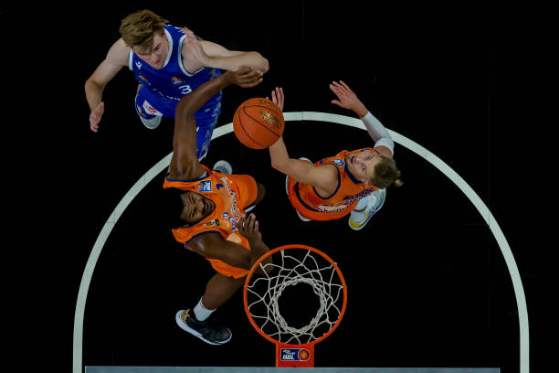 养与管理模 养与管理模